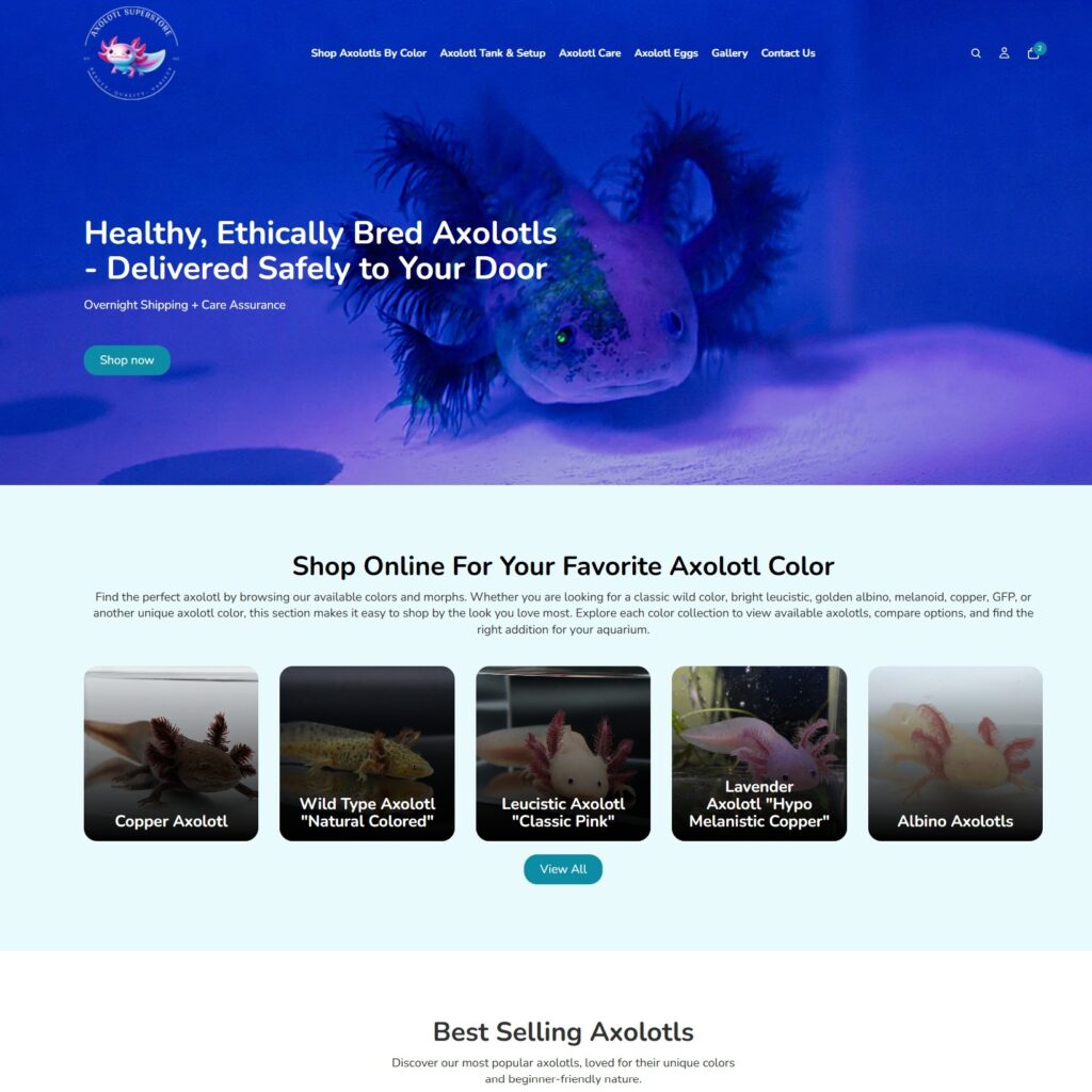 axolotl superstore shopify web design project Utah